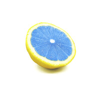 Blue Lemon lb logo - Similar company to Lead Creative