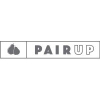 Pair Up Systems logo - Similar company to Accountants Solutions, Inc.
