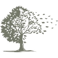 LONDONmiddlebury logo - Similar company to Junapr