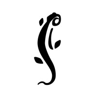 Cameleon Creatives A/S logo - Similar company to Cheetoo Studio