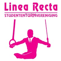 S.T.V. Linea Recta logo - Similar company to Bni Eemsdelta (Delfzijl)