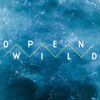 OPEN WILD logo - Similar company to Ryze Club
