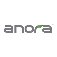 Anora Agency logo - Similar company to Ed.
