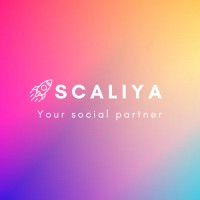 Scaliya logo - Similar company to Digital Transformer