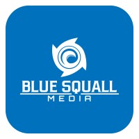 Blue Squall Media logo - Similar company to F2F Direct Consulting