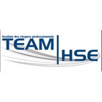 TEAM HSE logo - Similar company to Vision Entreprise