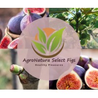 Agro Natura logo - Similar company to Celuz Agro