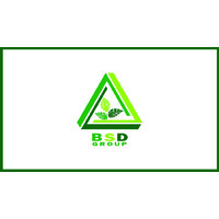 BSD Group Inc. logo - Similar company to Allbe