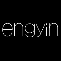 Engyin logo - Similar company to Cocampus