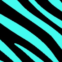 MediaSafari logo - Similar company to We_Can