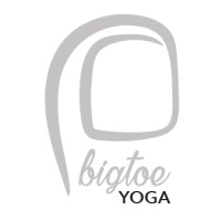 Bigtoe logo - Similar company to Customer Compass