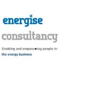 Energise Consultancy logo - Similar company to Prontera