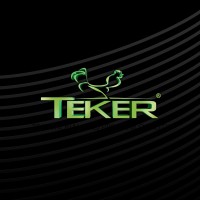 TEKER GROUP logo - Similar company to Lonki Food Group