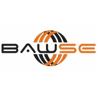 Bawse Global Business