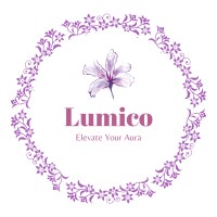Lumico logo - Similar company to Profitrack Accounting & Management