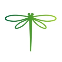 DragonFly IT logo - Similar company to D4 Ltd