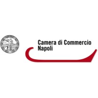 Camera di Commercio Napoli logo - Similar company to Aicomtec
