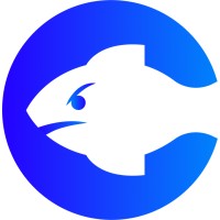 Cypho logo - Similar company to Upgrade Solutions Llc