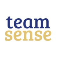 TEAMSENSE logo - Similar company to Teamsense