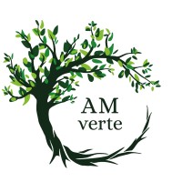 AM verte logo - Similar company to Nobu