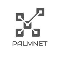 PALMNET TECH SL logo - Similar company to Custom Business