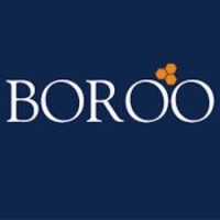 MINERA BOROO logo - Similar company to Boroo Pte. Ltd