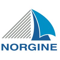 Norgine Germany logo - Similar company to Pan African Network