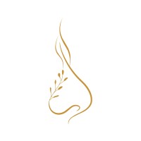 Aromas Âmbar | Velas e Aromatizantes logo - Similar company to Reserva Brasil Cosméticos E Aromas
