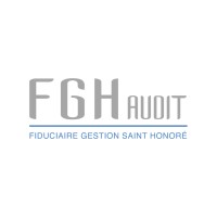 FGH AUDIT logo - Similar company to Cilelium