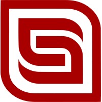 Discerning Security logo - Similar company to Himss Virginia Chapter