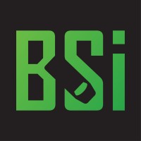 BSI logo - Similar company to Gatein.Ai