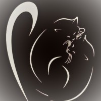 Touch Up To Me logo - Similar company to Ergo Moove