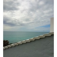 S h e p h e r d PMC - Residential Owners Representives logo