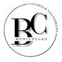 Business Consulting Montenegro logo - Similar company to Montenegro Creative Studio