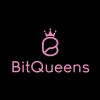 BitQueens logo - Similar company to Verj Technologies Limited