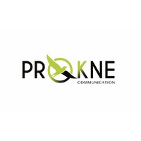 Prokne Communication logo - Similar company to Control Data
