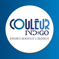 Couleur Indigo / Entreprise logo - Similar company to Adetoro Solutions D'Entreprise Limited