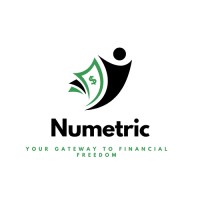 Numetric Financial Services logo - Similar company to Ace Ledger