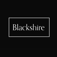 Blackshire Wealth Management logo - Similar company to Thynk Forward Ai