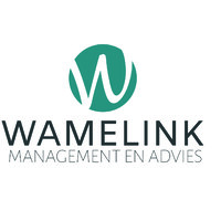 Wamelink Management En Advies Bv