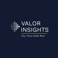 Valor Insights LLC logo - Similar company to Md Whitley Consulting