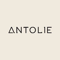 Antolie logo - Similar company to Reise