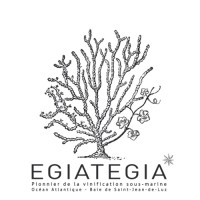 EGIATEGIA logo - Similar company to Maison Adam 1660