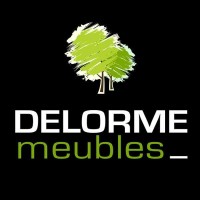 DELORME meubles logo - Similar company to Intelligence Meubles