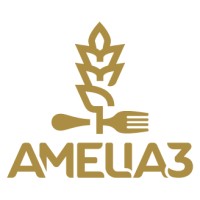 Amelia 3 Srl logo - Similar company to Tech Hardware