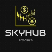 Skyhub Traders logo - Similar company to Hitage Official