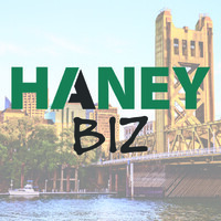HaneyBiz logo - Similar company to Remedy Interactive