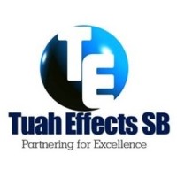 Tuah Effects Sdn Bhd logo - Similar company to Dancomair Engineering Sdn Bhd