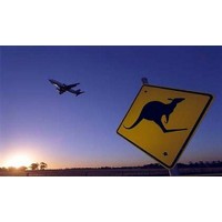 Migration Agent Adelaide logo - Similar company to Ausyes Migration Agent And Education Consultant Adelaide