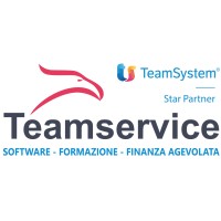Teamservice srl logo - Similar company to Isplus Srl